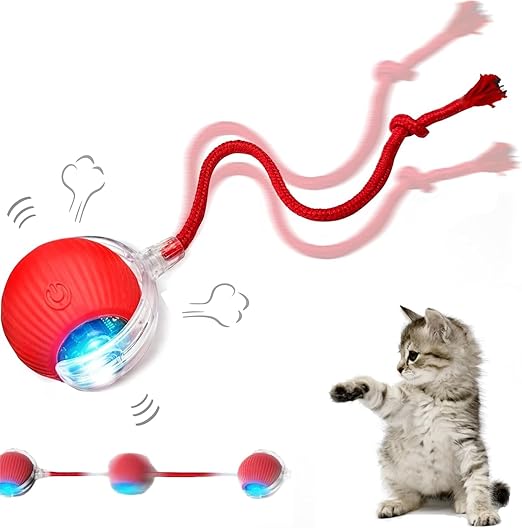 cat dancing ball