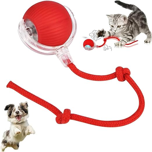 cat dancing ball