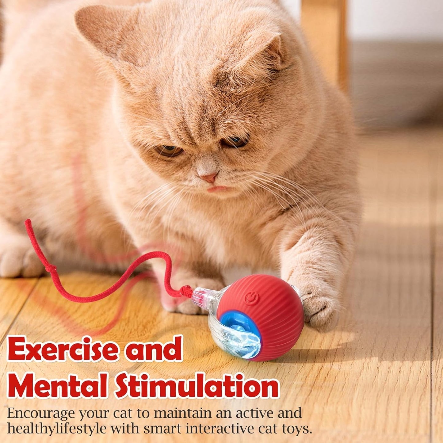 cat dancing ball