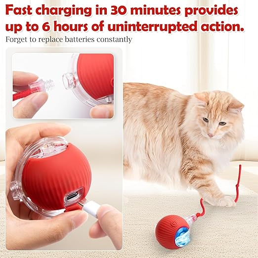 cat dancing ball