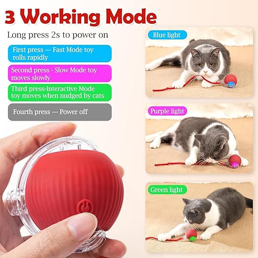 cat dancing ball