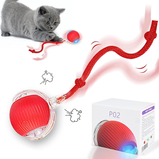 cat dancing ball